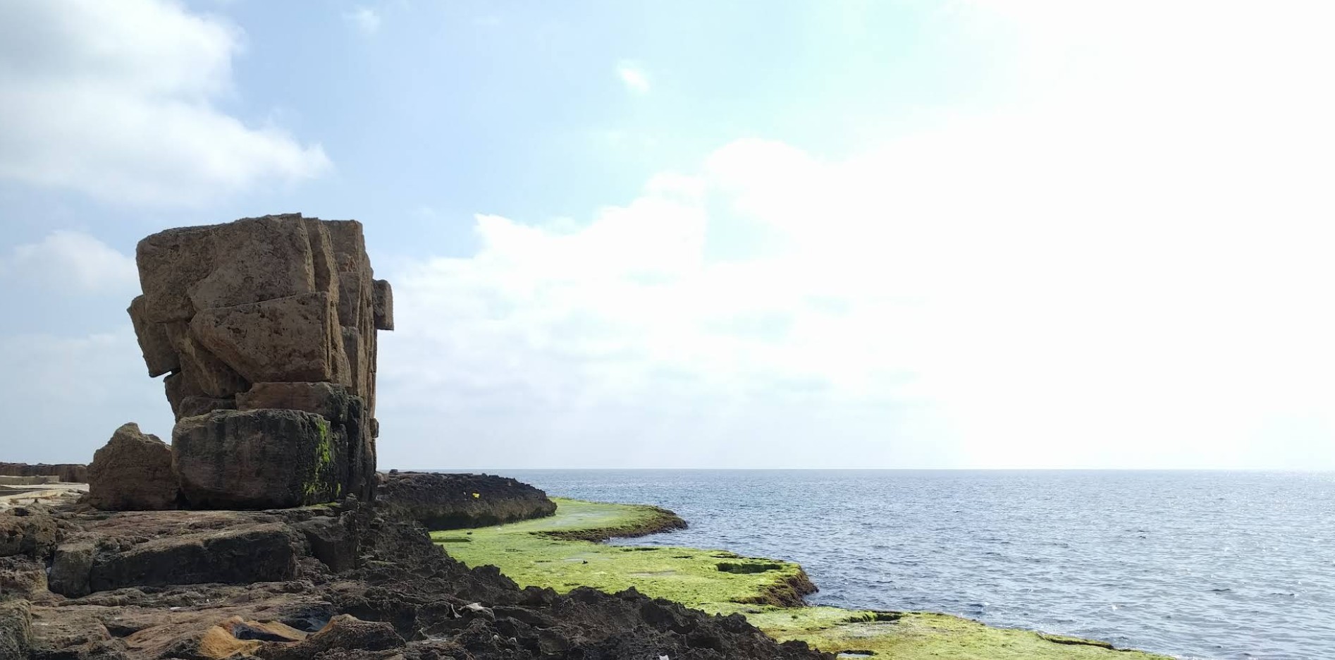 أرواد من البحر